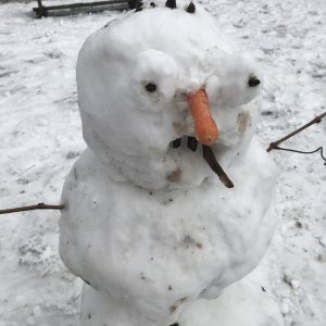 Schneemann-mit-schlechten-Zähnen